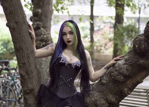 Header of aracne
