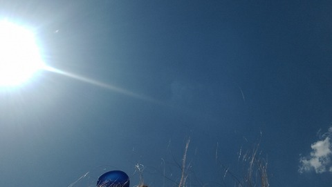 Header of arevera