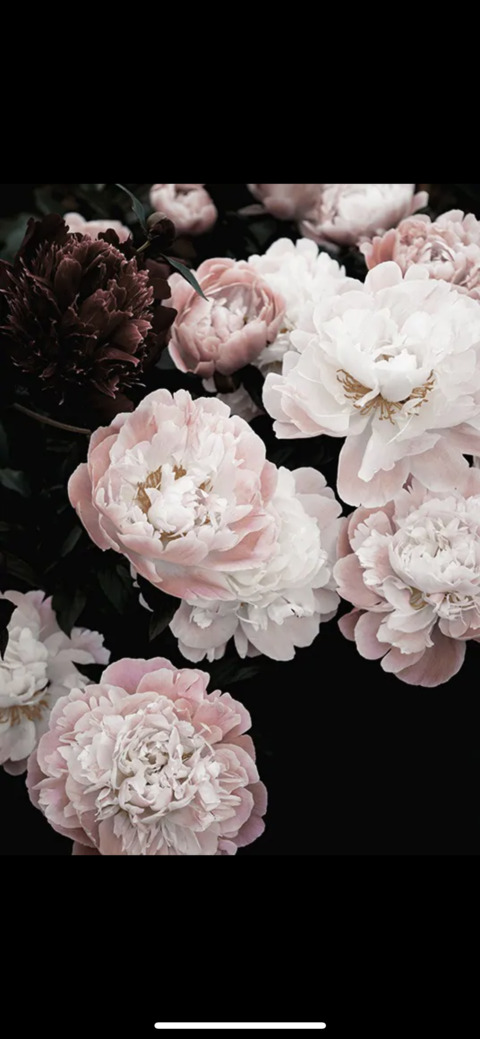 Header of camilla.musse