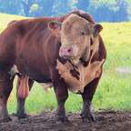 farmer OnlyFans Leak 

 profile picture