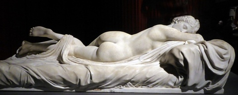 Header of lilaphrodite
