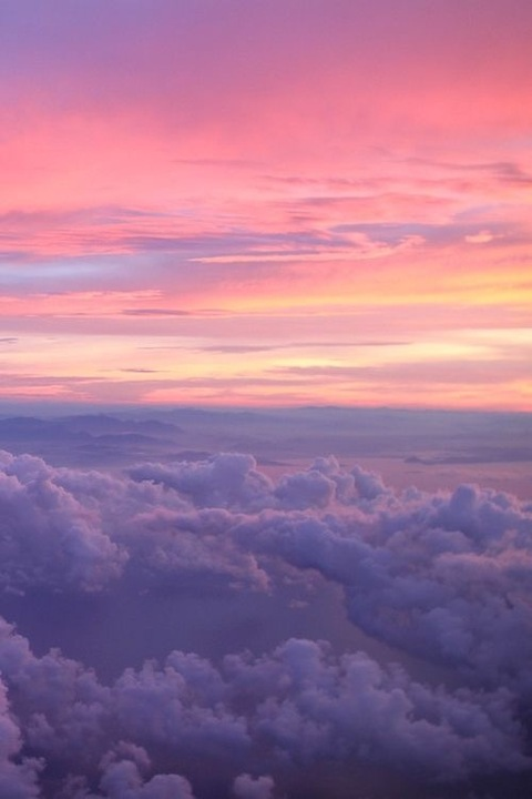 Header of lilmomma4619