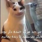 nayse OnlyFans Leak 

 profile picture