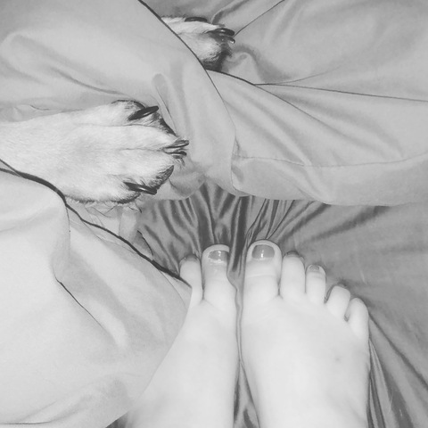 Header of nikkole