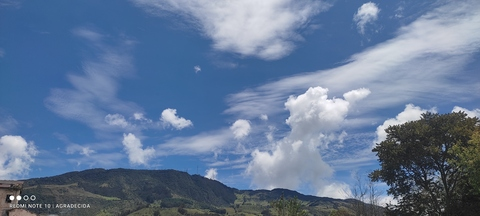 Header of solopao