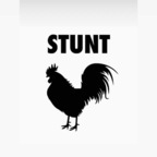 Download stunttcock OnlyFans leaks for free 

 profile picture