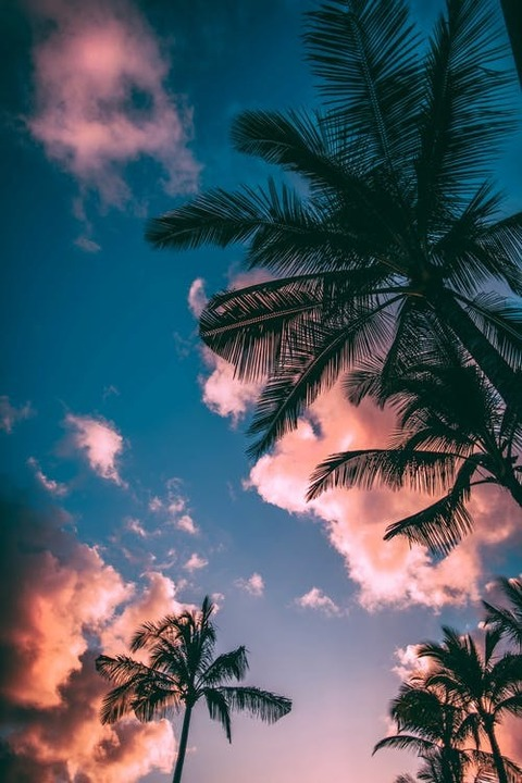 Header of sweetscar