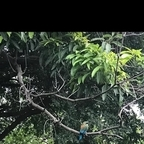 vanessas OnlyFans Leaks 

 profile picture