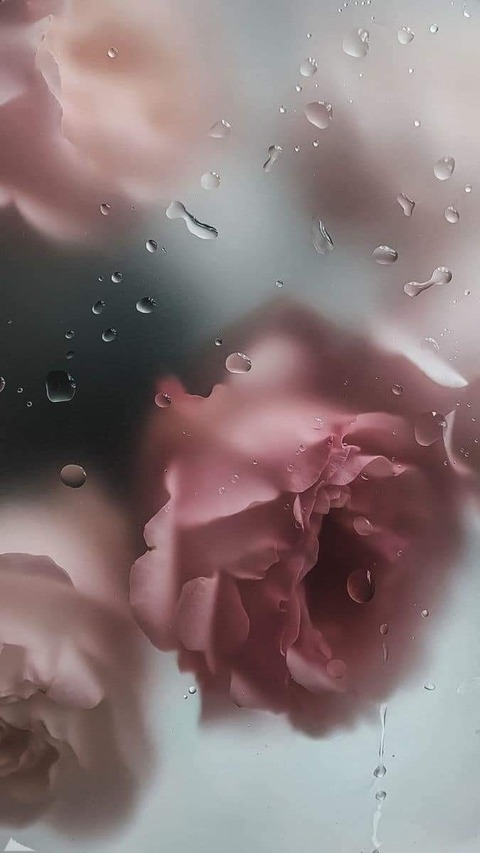 Header of xokatco