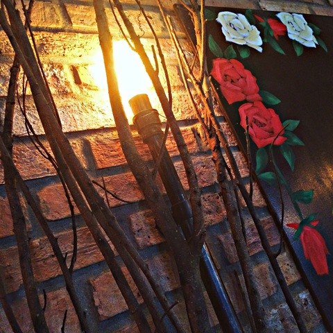 Header of zoee0902